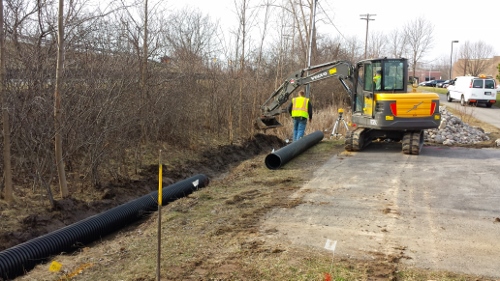 Winton Rain Garden 2014 (16)